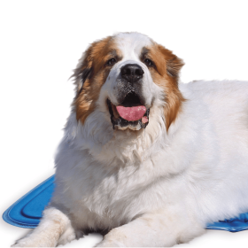 Cool Pet Pad (Color: Blue, size: XL)