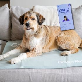 Chillz Gel Mat Cover (Color: Sage, size: XL)